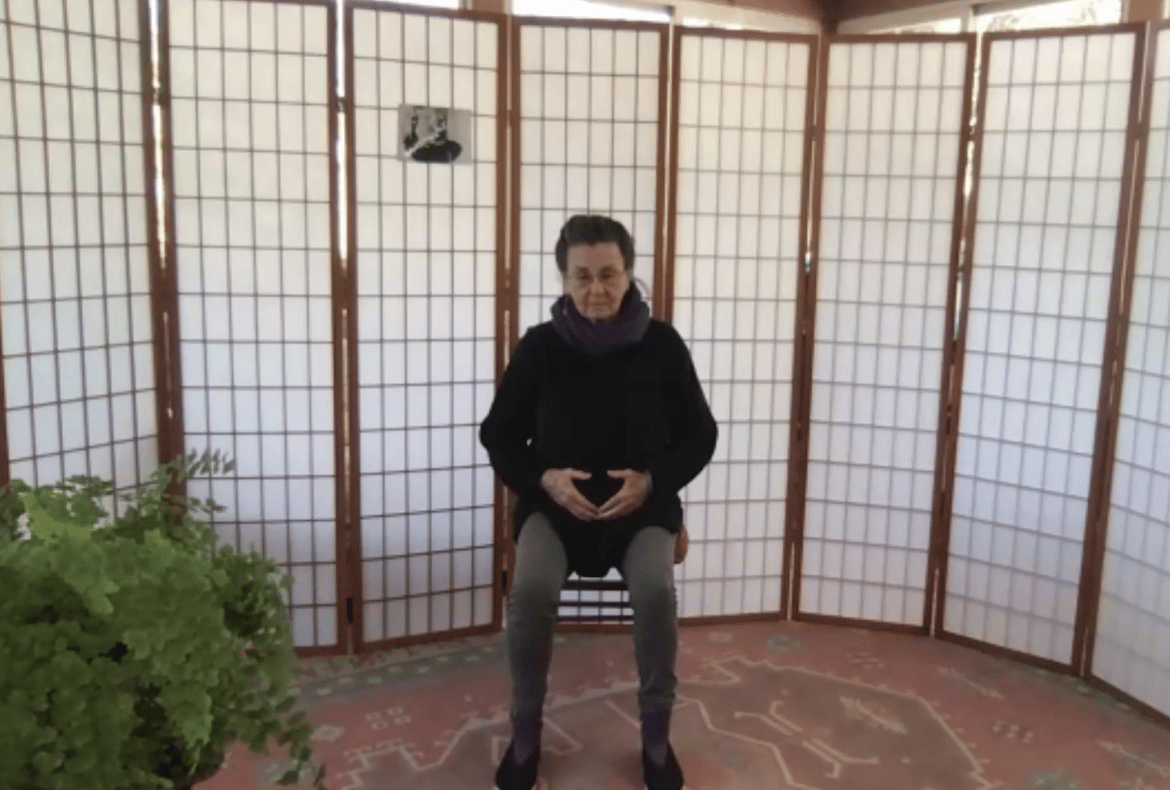 Tai Chi Teacher teaching qigong