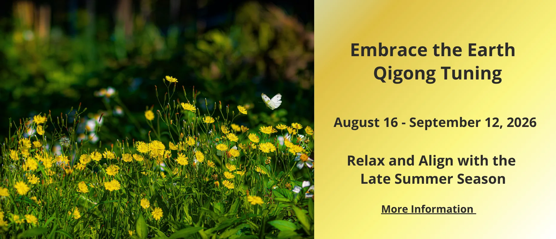 Embrace the Earth 2026 Visual of Spring with information about Earth Qigong Tuning