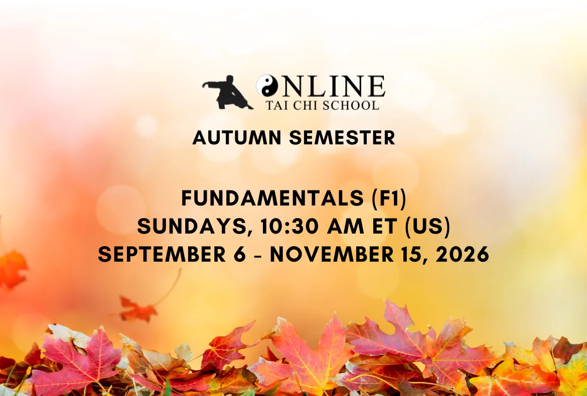 Fundamentals 1 (F1)