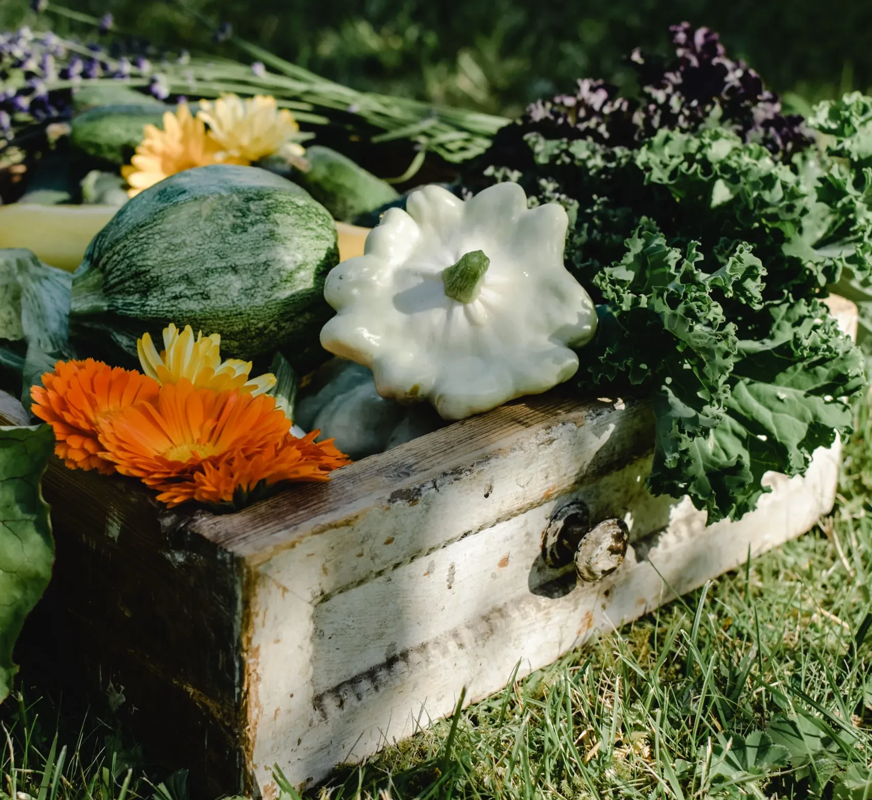 Cycles: Late Summer — The Season of Earth