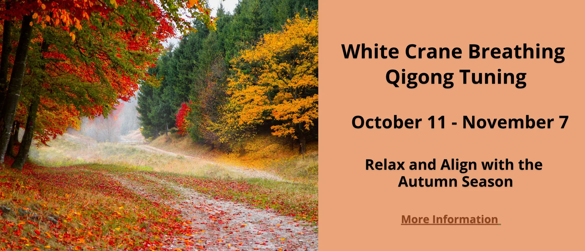Autumn Qigong Tuning 2026 Autumn Qigong Tuning 2026